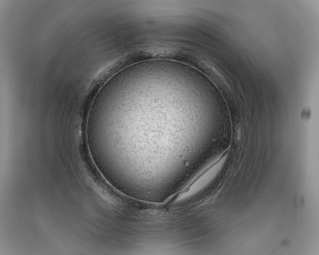 X0000091970733200709201405