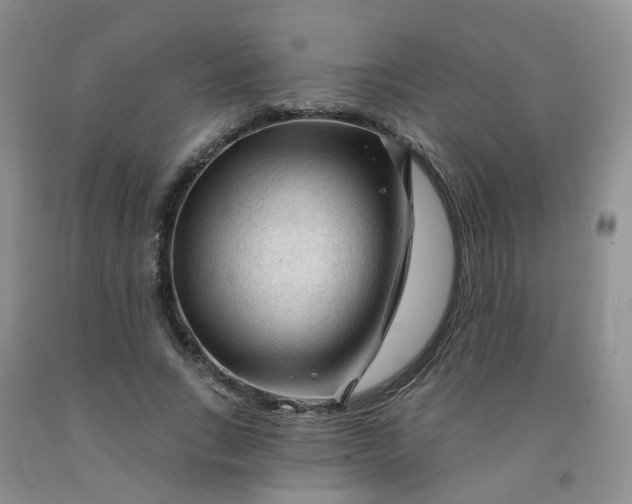 X0000091970735200709201405
