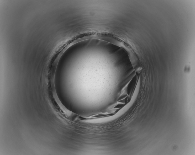 X0000091970736200709201405