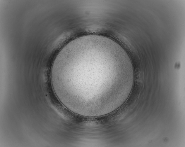 X0000091970738200709201405