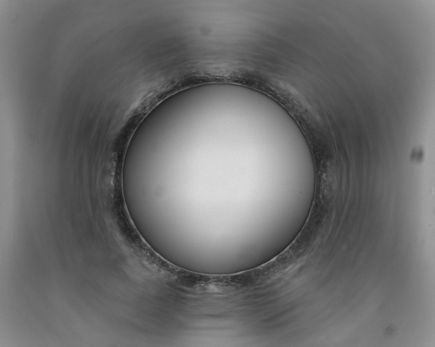 X0000091970739200709201405