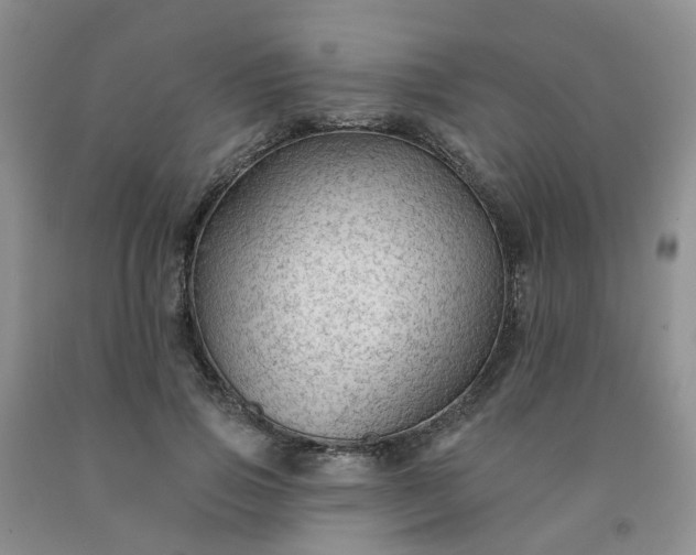 X0000091970741200709201405