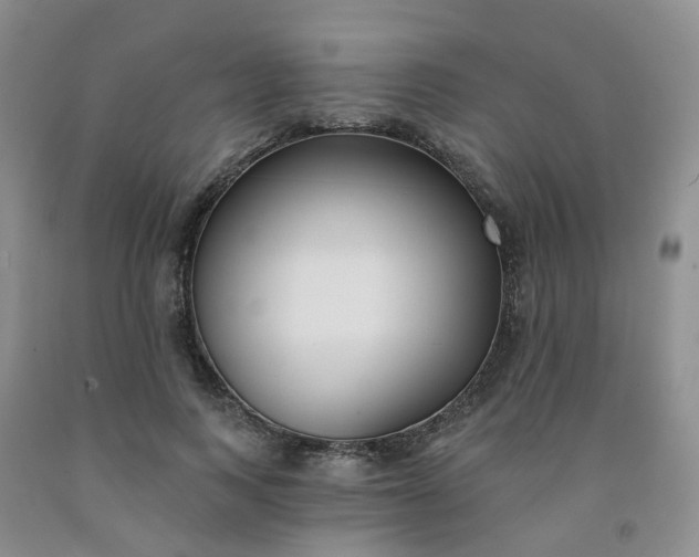X0000091970743200709201405