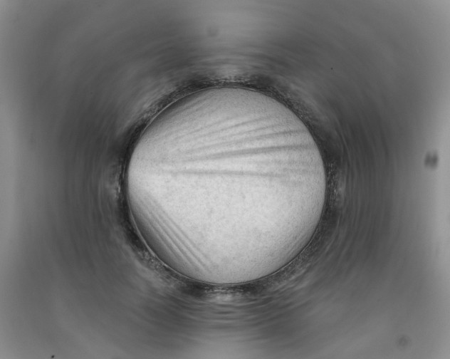 X0000091970746200709201405