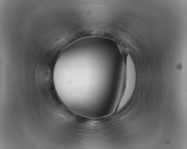 X0000091970748200709201405