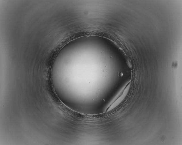 X0000091970750200709201405