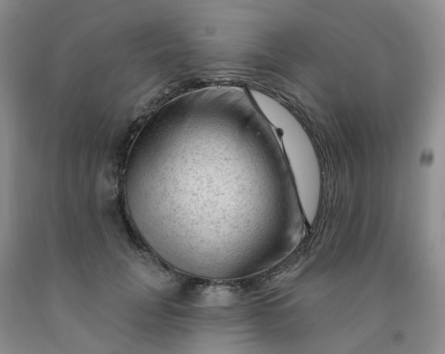 X0000091970751200709201405