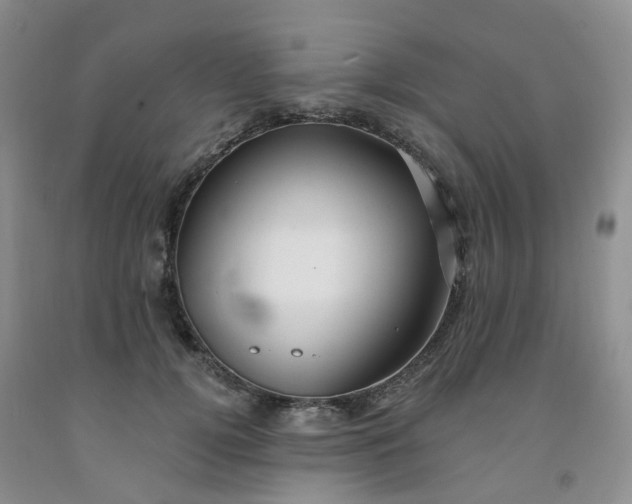 X0000091970752200709201405