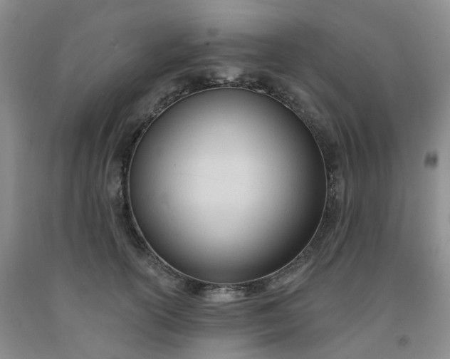 X0000091970754200709201405