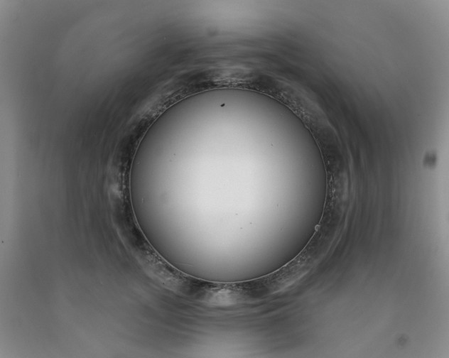 X0000091970755200709201405