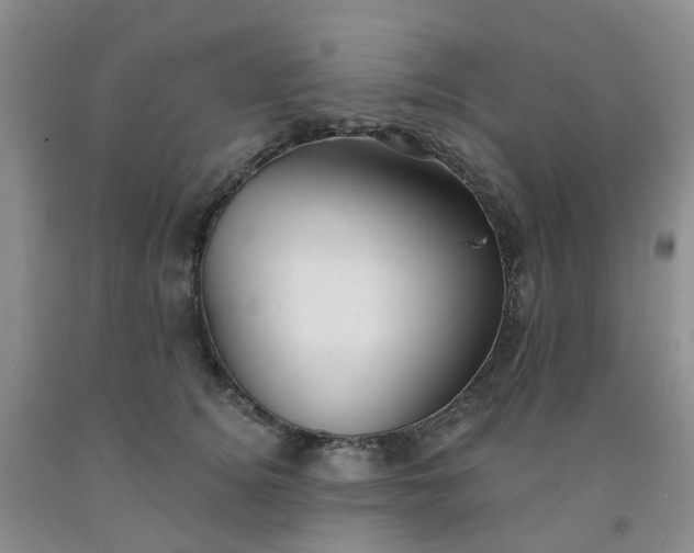 X0000091970756200709201405