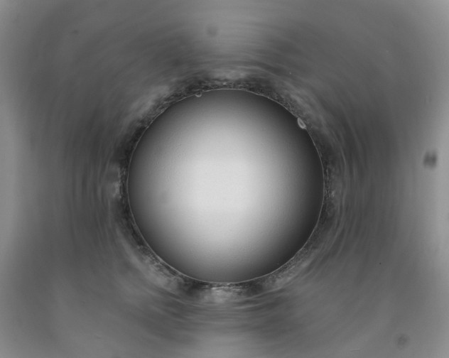 X0000091970758200709201405