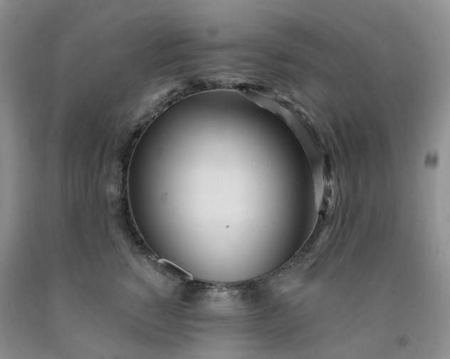 X0000091970760200709201405