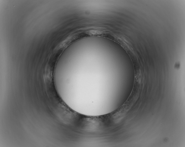 X0000091970763200709201405