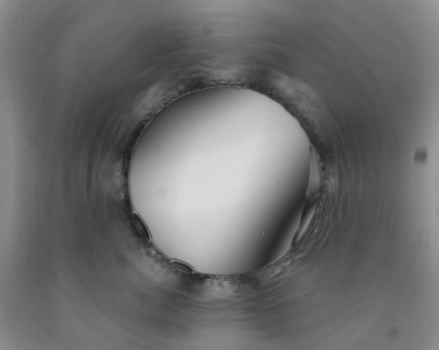 X0000091970764200709201405