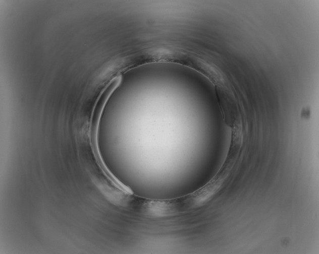 X0000091970766200709201405