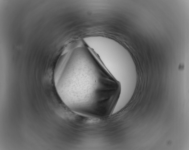 X0000091970767200709201405