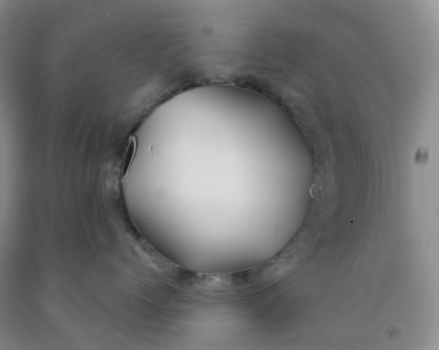 X0000091970768200709201405