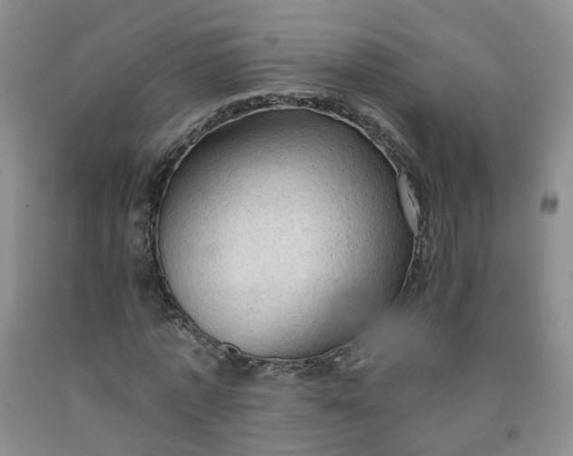 X0000091970773200709201404
