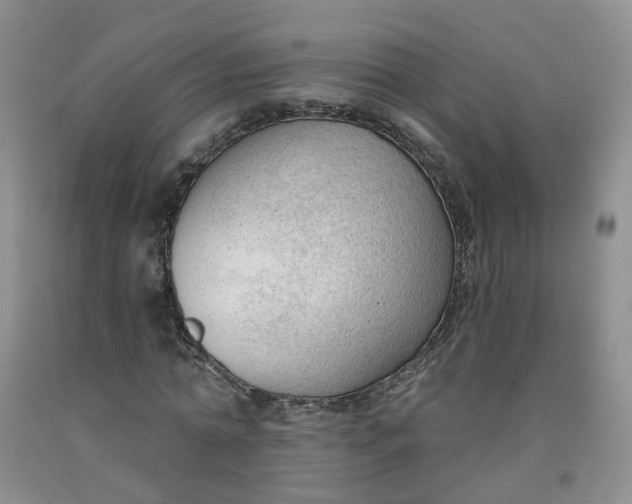 X0000091970774200709201404