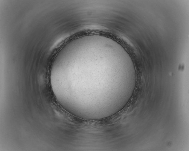 X0000091970775200709201404