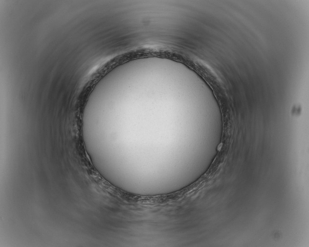 X0000091970776200709201404