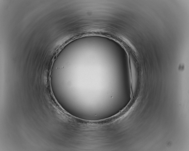 X0000091970777200709201404