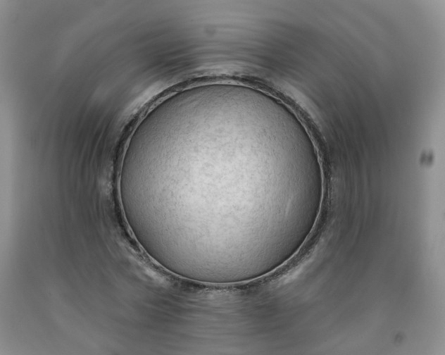 X0000091970778200709201404