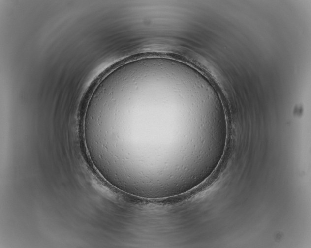 X0000091970779200709201404