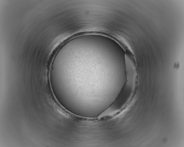X0000091970781200709201404