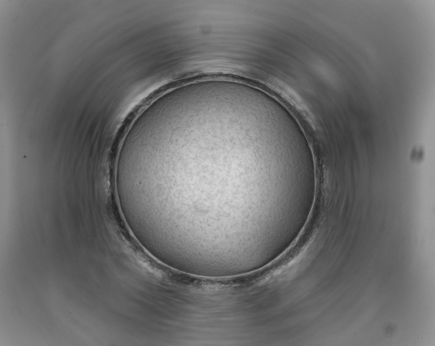 X0000091970782200709201404