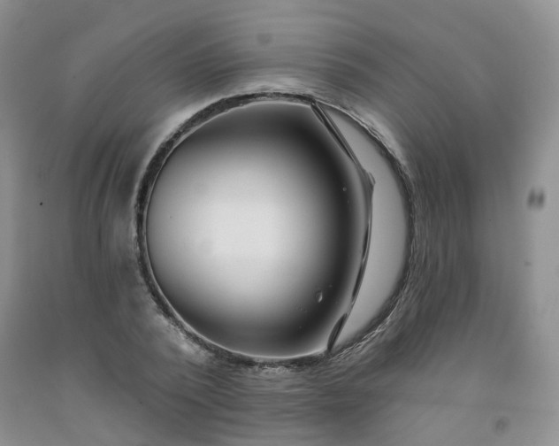 X0000091970784200709201404
