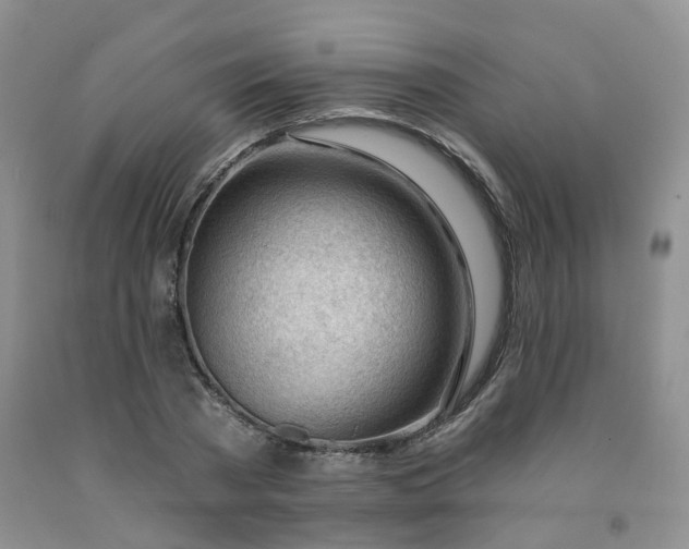 X0000091970785200709201404