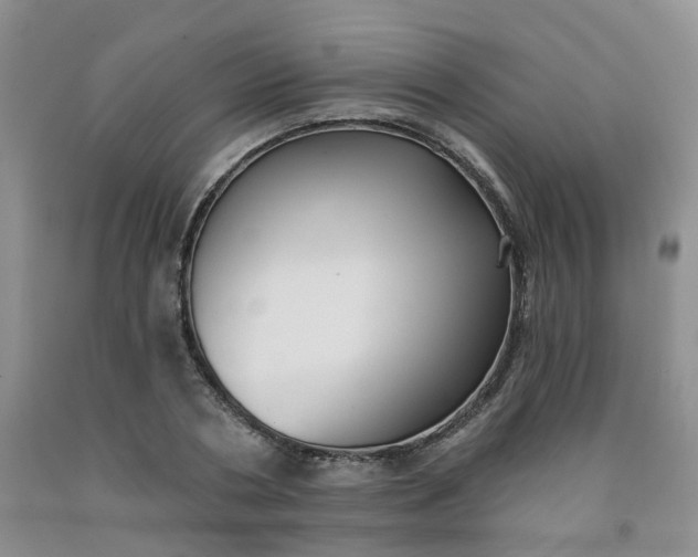 X0000091970786200709201404