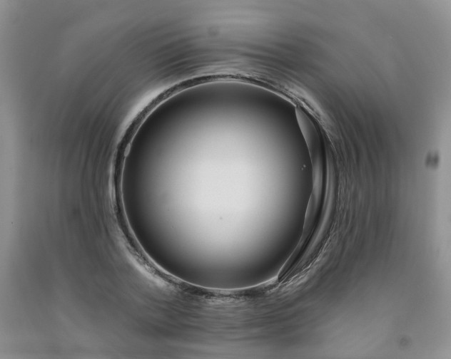 X0000091970788200709201404