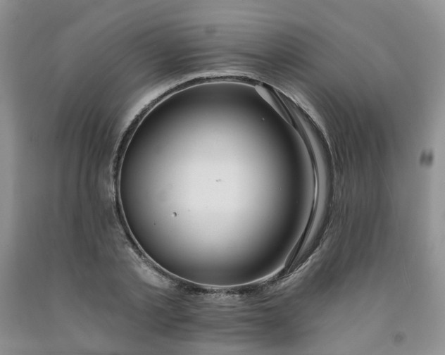 X0000091970789200709201404