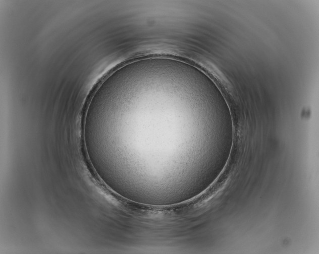X0000091970790200709201404