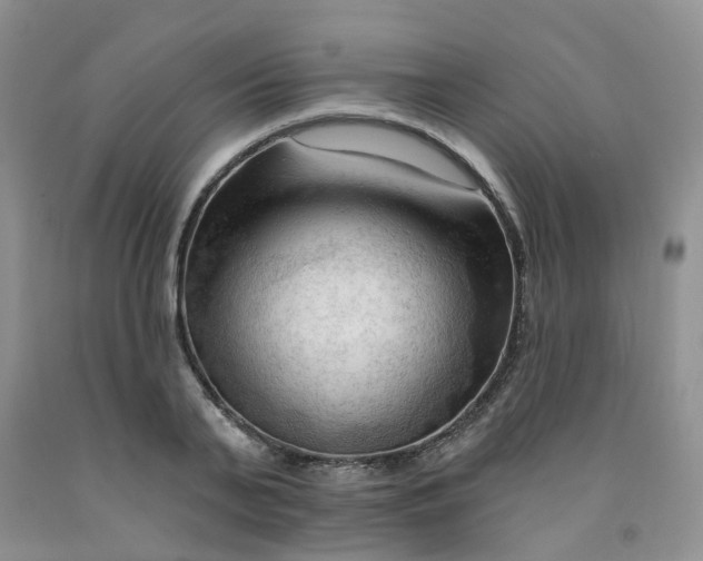 X0000091970791200709201404