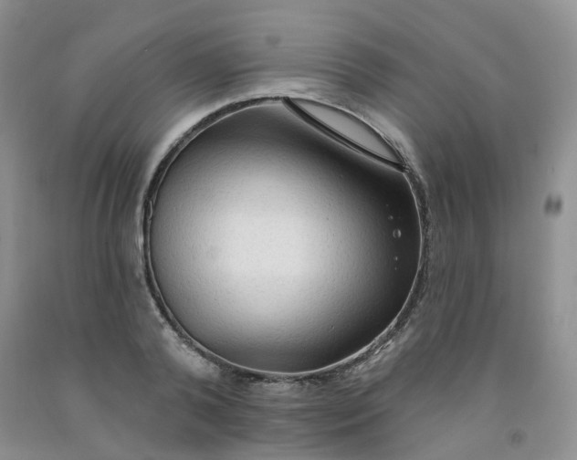 X0000091970792200709201404
