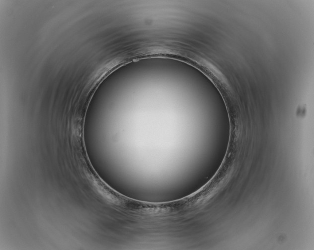 X0000091970793200709201404