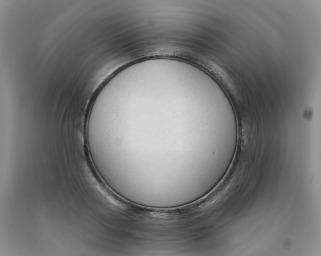 X0000091970794200709201404