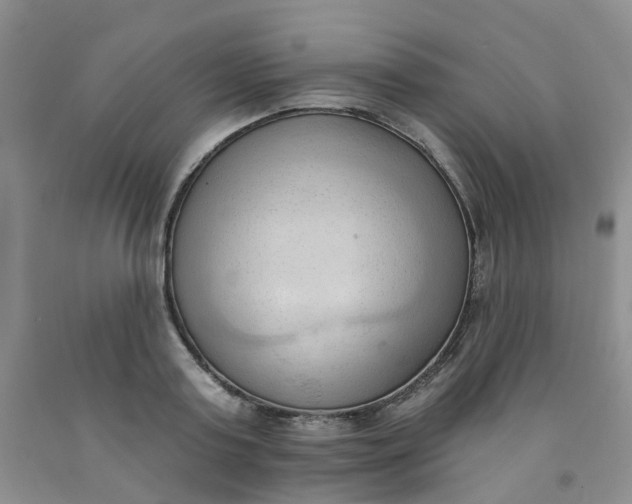X0000091970795200709201404