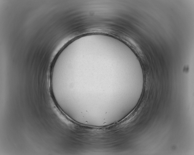 X0000091970796200709201404