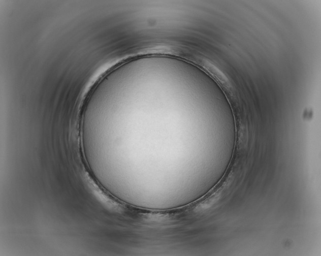 X0000091970800200709201404