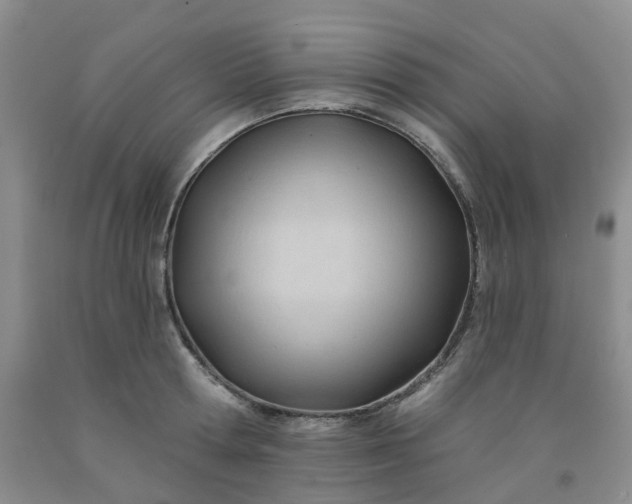 X0000091970802200709201404