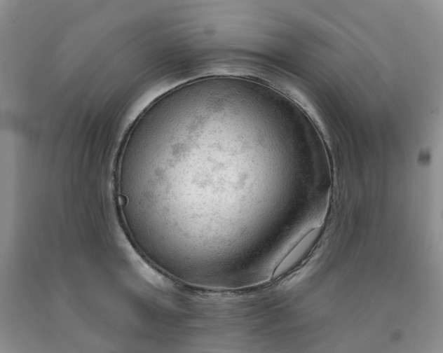 X0000091970803200709201404