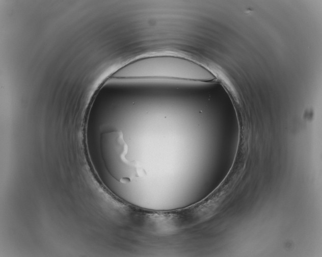 X0000091970805200709201404