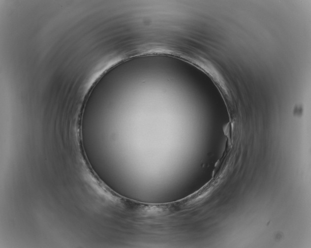 X0000091970806200709201404