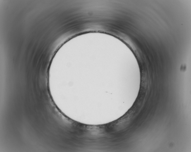 X0000091970807200709201404