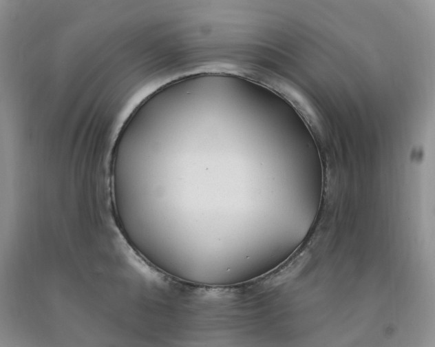 X0000091970808200709201404
